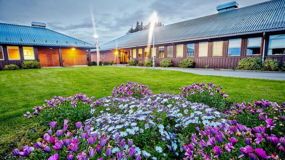 Lenke til artikkel: Formannskapet strømmes ikke i dag