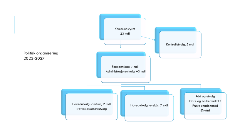 Politisk organisering